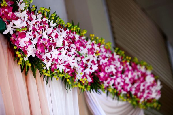 Drape-image-3